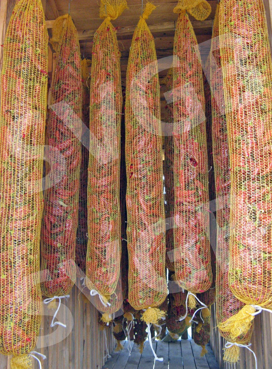 collecting