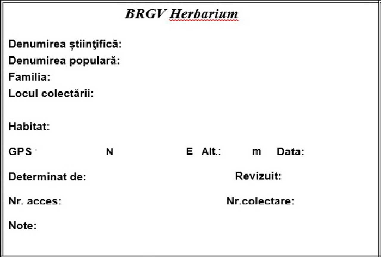 ierbar